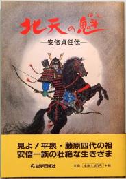 北天の魁: 安部貞任伝