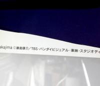 ポスター　逮捕しちゃうぞ　the MOVIE