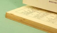任侠二刀流　上下巻　国枝史郎伝奇文庫 8&9