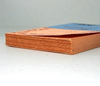 ブッダの 真理のことば 感興のことば　岩波文庫　青302-1