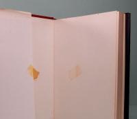 経済史話　中国四千年史