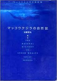 マッコウクジラの自然誌 : <大マッコウ>てんまつ記