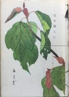 鳥を探しに
