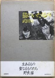 猫のいた場所