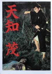 天知茂