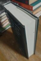 Medieval Latin and the rise of European love-lyric. Second edition