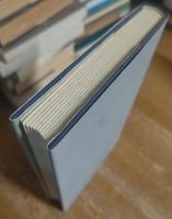 Die Macht der Einbildungskraft in der Aesthetik Kants und Schillers