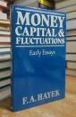 Money, capital & fluctuations: Early essays