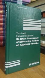 De Rham Cohomology of Differential Modules on Algebraic Varieties