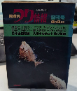 隔週刊 つり情報　創刊号