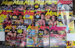MAXIMUM MUSCLE マキシマム・マッスル　全17巻揃