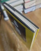 Sir Philip Sidney and the Interpretation of Renaissance Culture : The Poet in His Times and in Ours: A Collection of Critical and Scholarly Essays