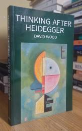 Thinking After Heidegger