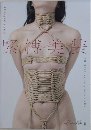 緊縛美装