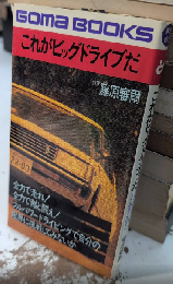 これがビッグドライブだ　ゴマブックス