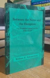 Between the Norm and the Exception: The Frankfurt School and the Rule of Law