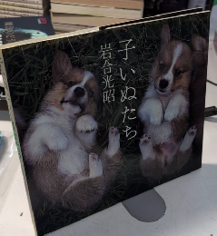 子いぬたち