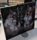 子いぬたち