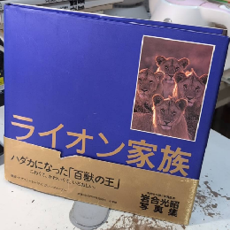 ライオン家族
