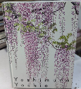 吉村芳生 超絶技巧を超えて