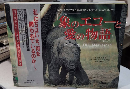 象のエコーと愛の物語