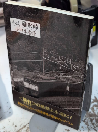 小説碓氷峠