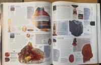 Rock and Gem : The Definitive Guide to Rocks, Minerals, Gemstones and Fossils