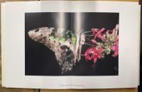 Damien Hirst: Forgotten Promises