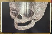 Damien Hirst: Forgotten Promises