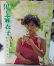 川上麻衣子　暑い国 夢の国 生まれた国　写真館シリーズ4