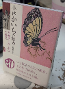 小林かいちの魅力　京都アール・デコの発見