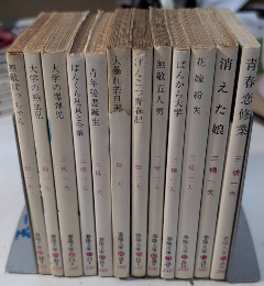 三橋一夫シリーズ　12冊一括　春陽文庫