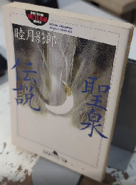 聖泉伝説　幻冬舎アウトロー文庫