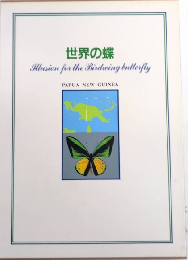 世界の蝶　パプアニューギニア　限定特装版
