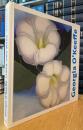 Georgia O'keeffe: Leben Und Werk