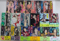 竹河聖シリーズ　光文社文庫　17冊一括