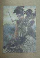 L'Anneau du Nibelung. Tome I: L'Or du Rhin et la Walkirie. Tome II: Siegfried et le Crépuscule des Dieux.