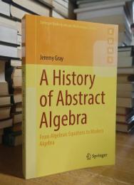 A History of Abstract Algebra: From Algebraic Equations to Modern Algebra (Springer Undergraduate Mathematics Series)