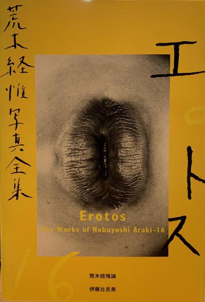送料込・まとめ買い 荒木経惟写真全集 16 通販