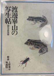 渡辺崋山の写生帖  翎毛虫魚冊