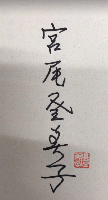宮尾登美子全集　全15巻揃
