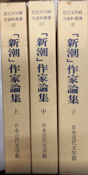 品質検査済 決定版 ロシア文学全集 古本 / 雪谷BASE 西村文生堂 / 全35巻揃 文学・小説