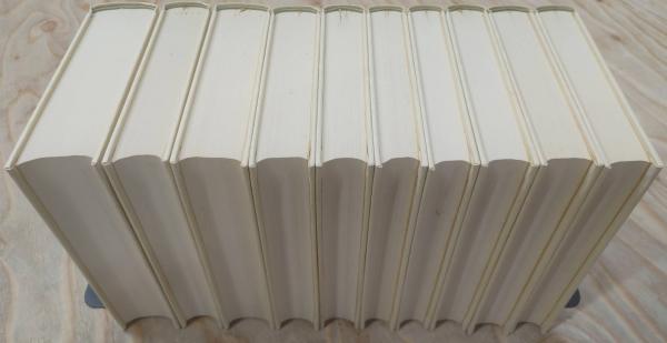 ドストエフスキー小説全集 全10巻揃い(小沼文彦訳) / 古本、中古 ドストエフスキー小説全集 全10巻揃い(小沼文彦訳) / 古本、中古
