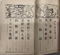 新選小説集　熱血篇