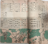 幼年倶楽部　16巻9号　16年9月
