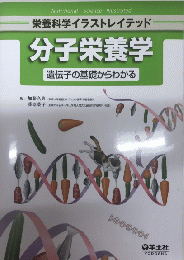 分子栄養学　栄養科学イラストレイテッド　遺伝子の基礎からわかる