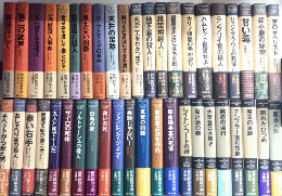 世界探偵小説全集　全45巻内38・41・欠　43冊一括