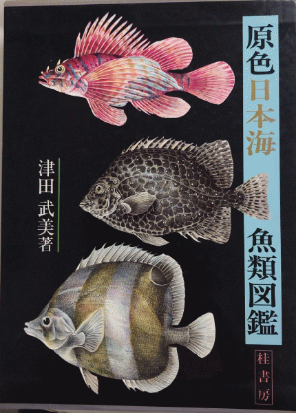 原色日本海魚類図鑑(津田武美) / 古本、中古本、古書籍の通販は「日本