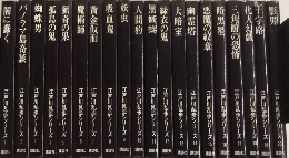 江戸川乱歩シリーズ　全20巻揃