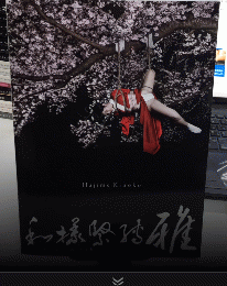 和様緊縛 雅